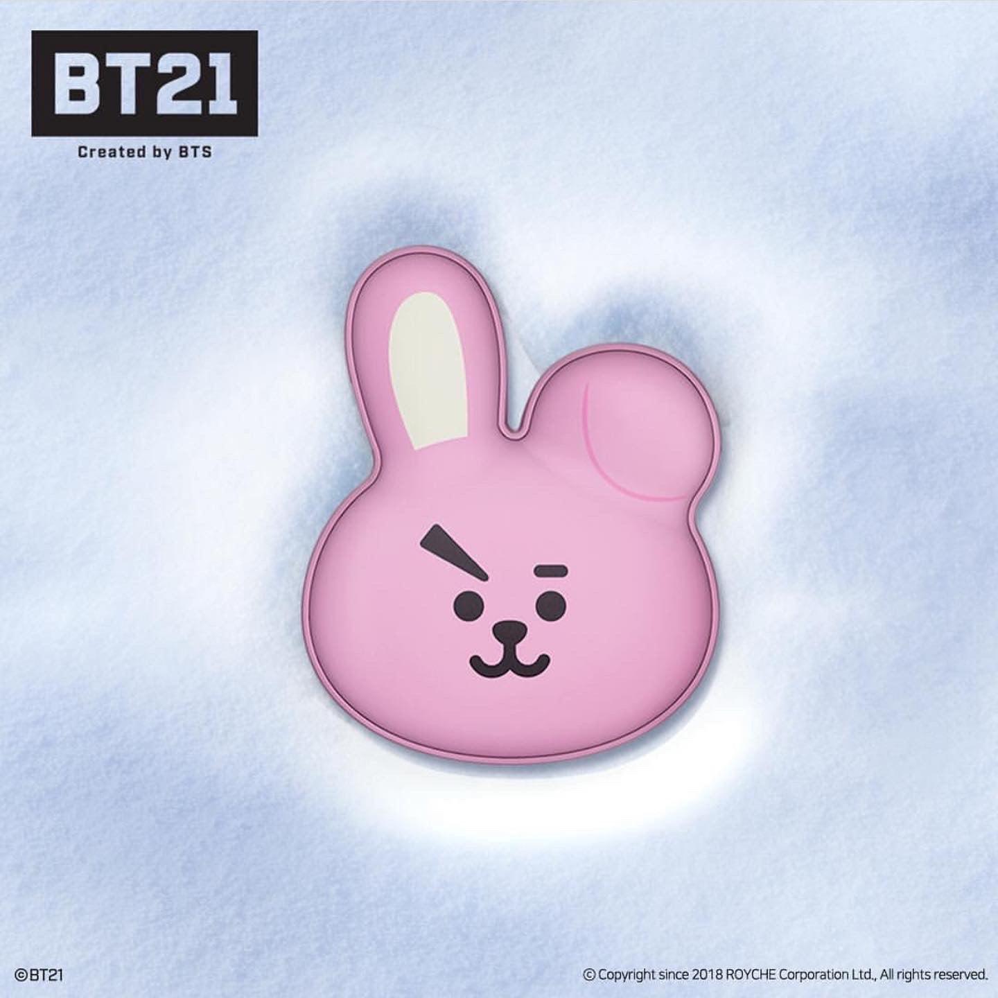 Cooky Powerbank & Handwarmer - Orderly