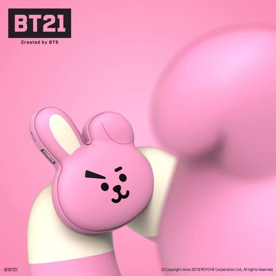 Cooky Powerbank & Handwarmer - Orderly