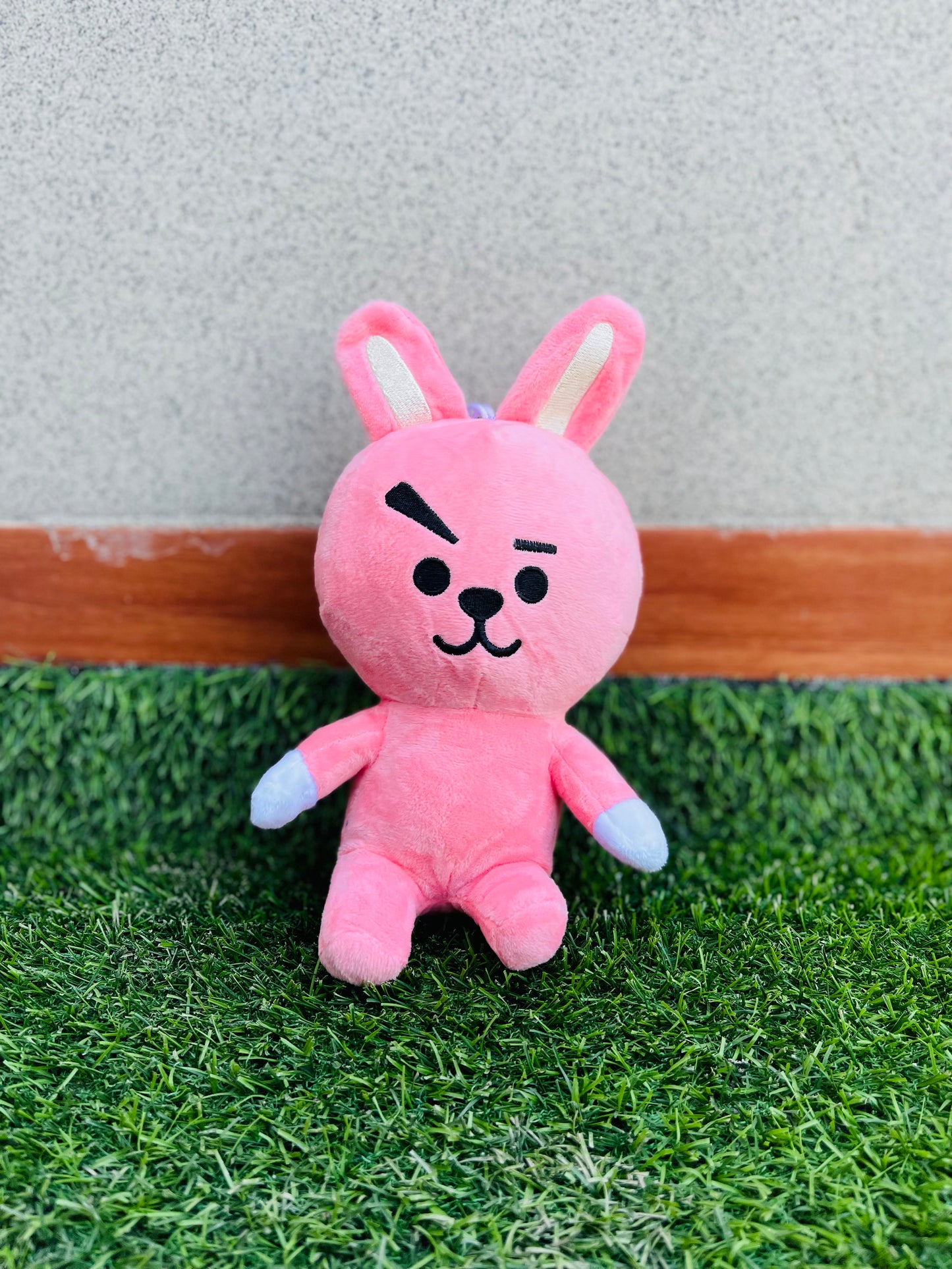 BTS Plushy - Orderly