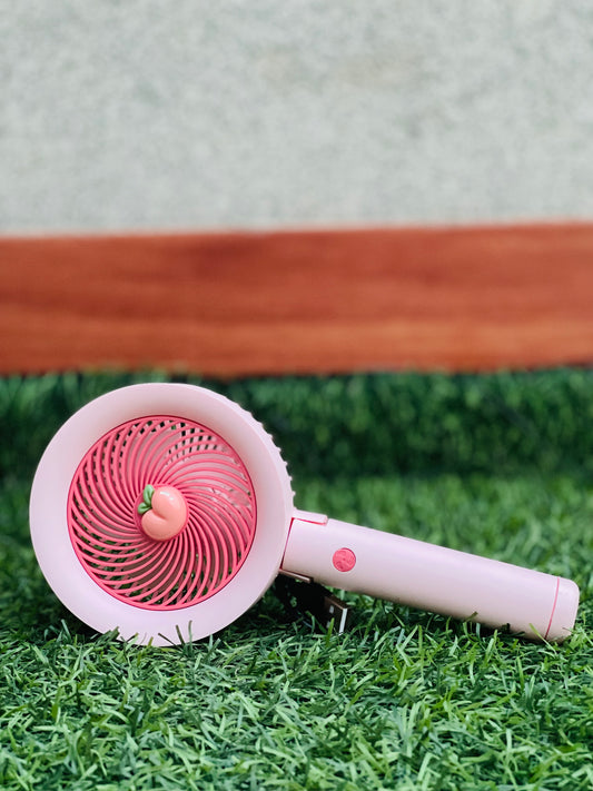 Rechargeable Hand Fan